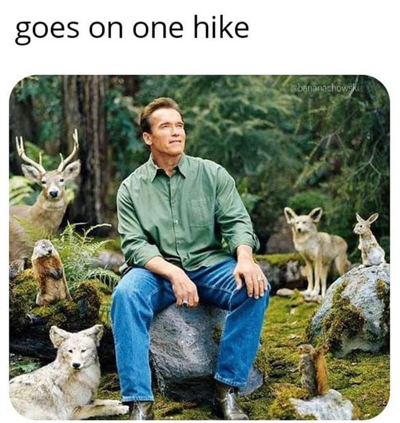 image for So true