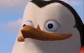 Sam Jensen